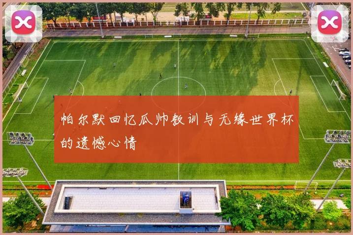 帕尔默回忆瓜帅教训与无缘世界杯的遗憾心情