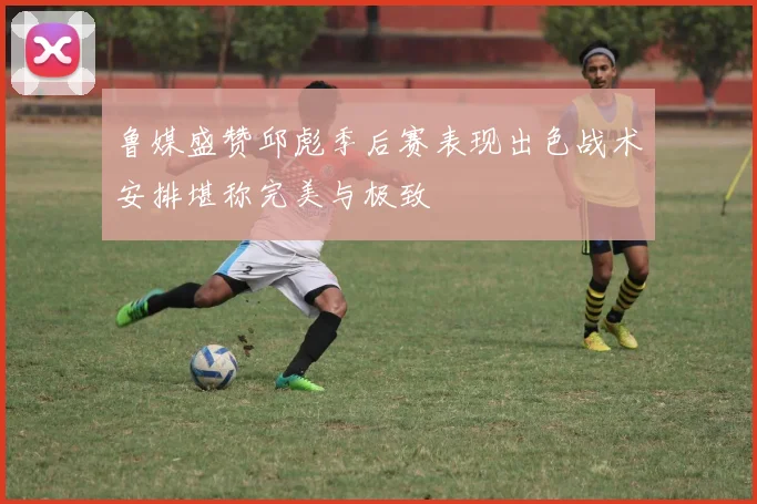 鲁媒盛赞邱彪季后赛表现出色战术安排堪称完美与极致